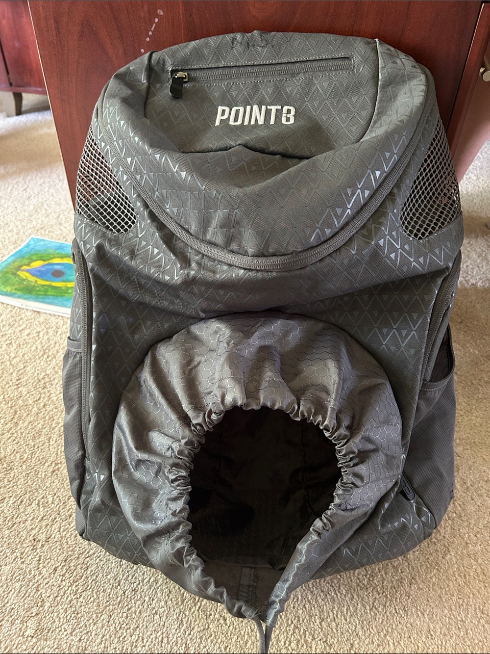 Point3 basketball bag.  Grey